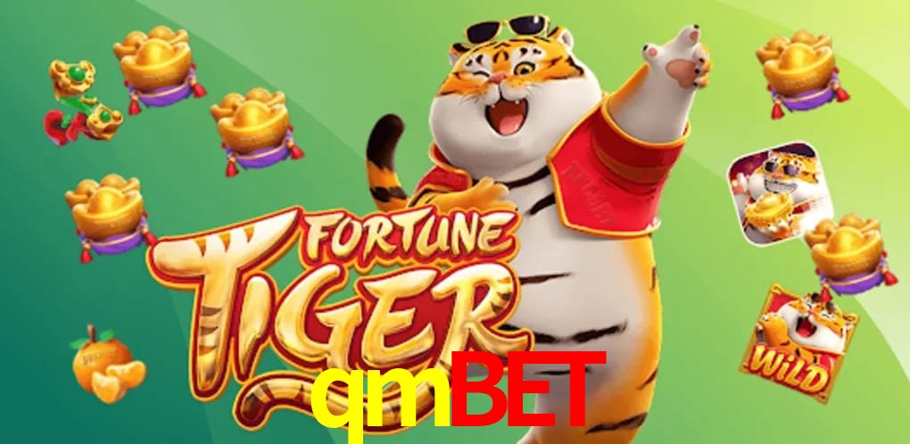 Experiência VIP qmbet